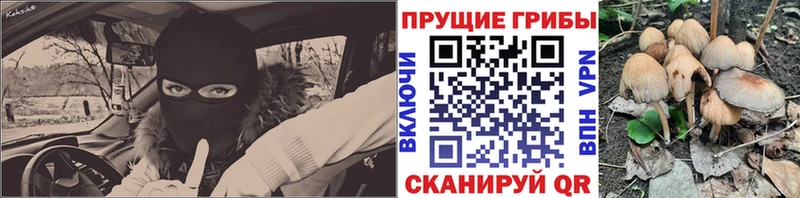Галлюциногенные грибы ЛСД  купить  сайты  Ачхой-Мартан 